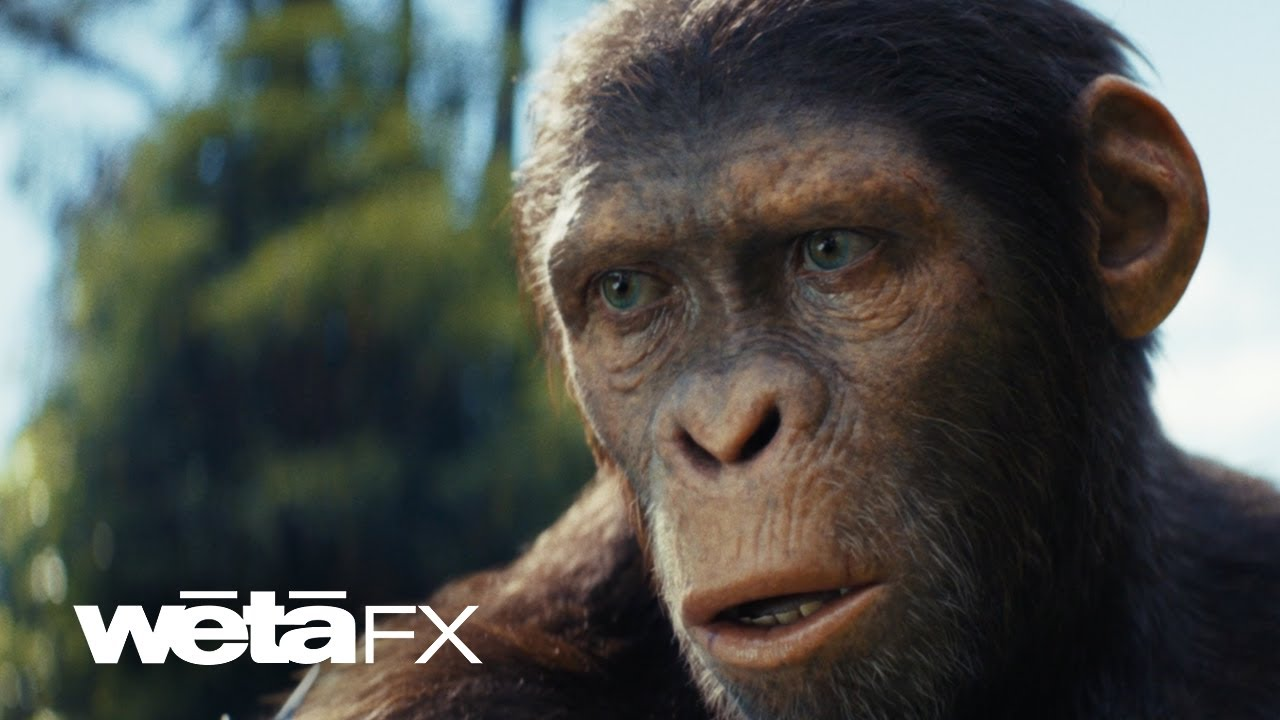Visual Effects