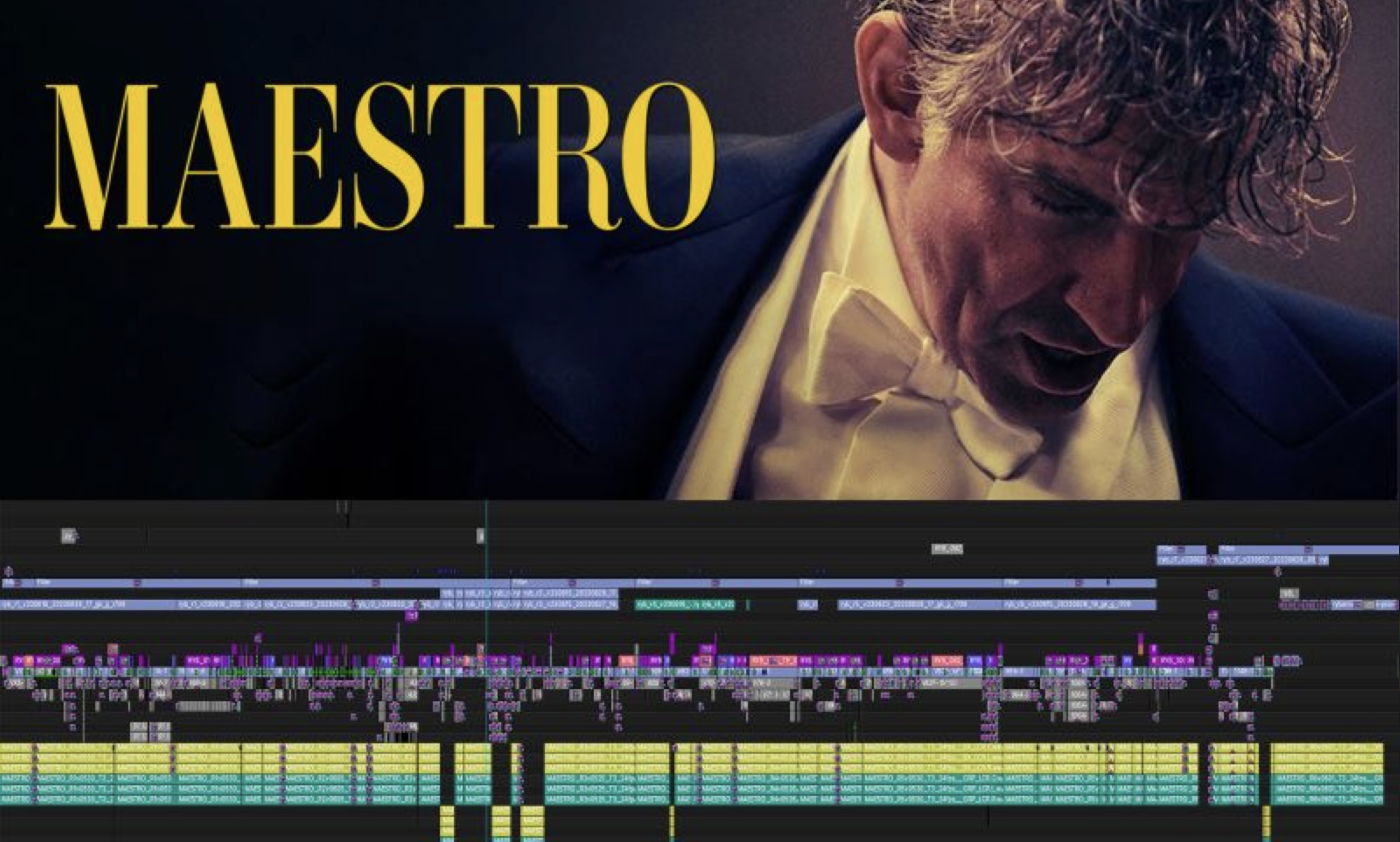 Editing 'Maestro': Michelle Tesoro | The Rough Cut